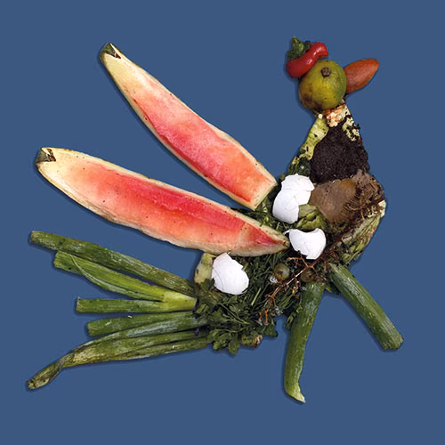 Ein Vogel der aus Küchenabfällen bestehlt