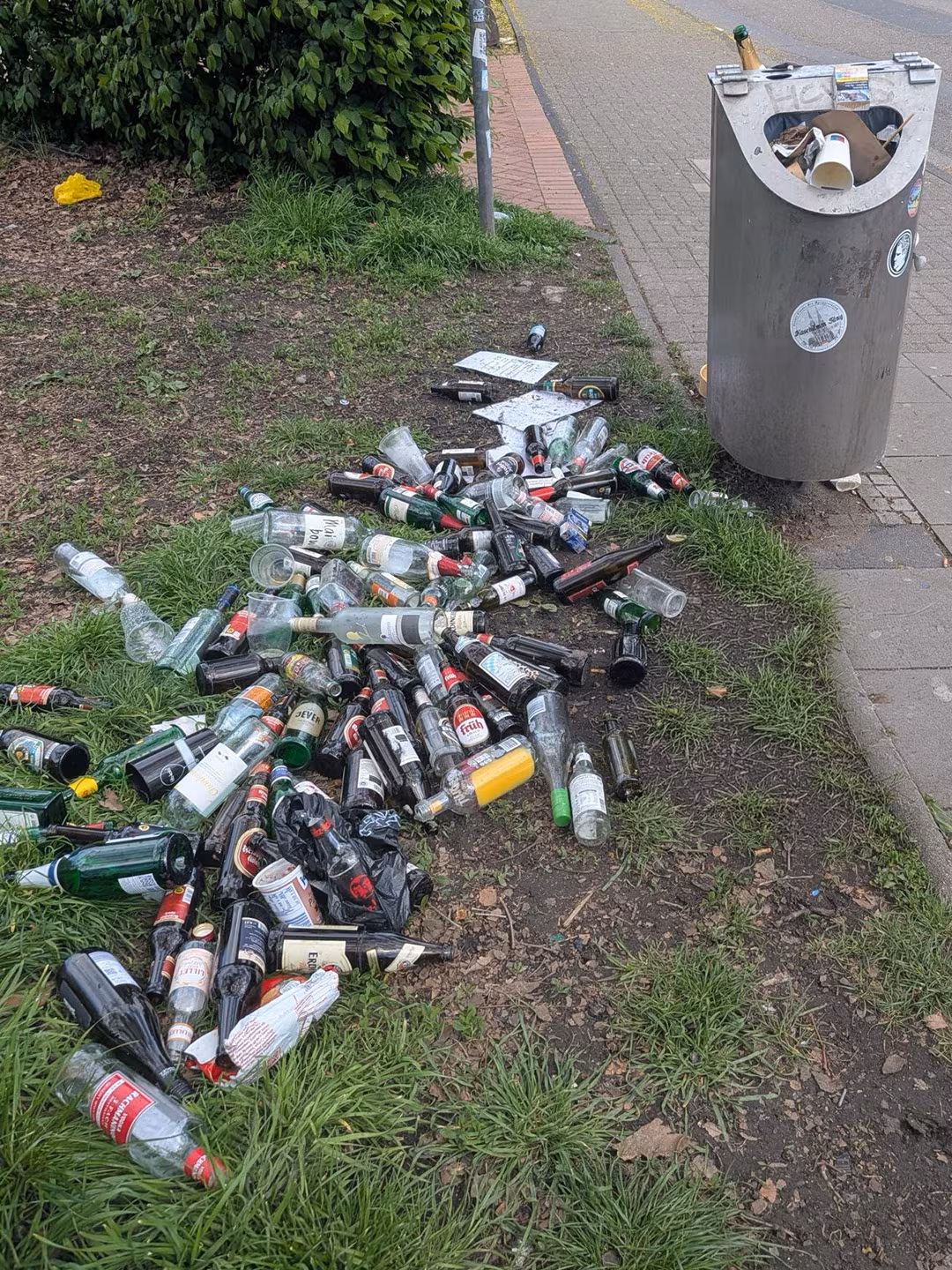 Flaschen neben Mülleimer Ein großer Haufen Glasflaschen liegt neben einem Mülleimer auf der Grünfläche.