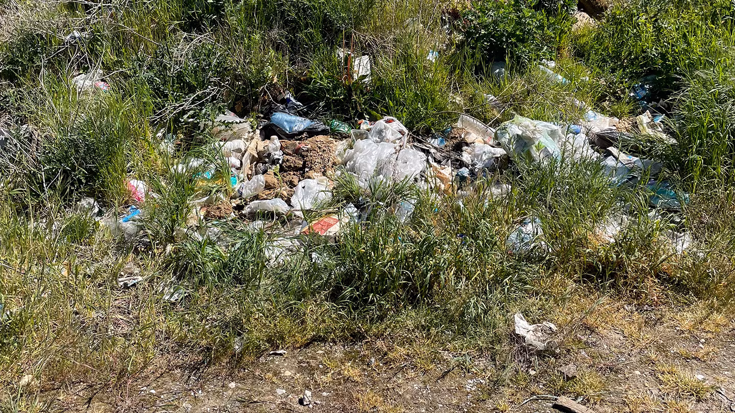 Müll beim Cleanup in Lövenich Wilder Müll auf einer Wiese